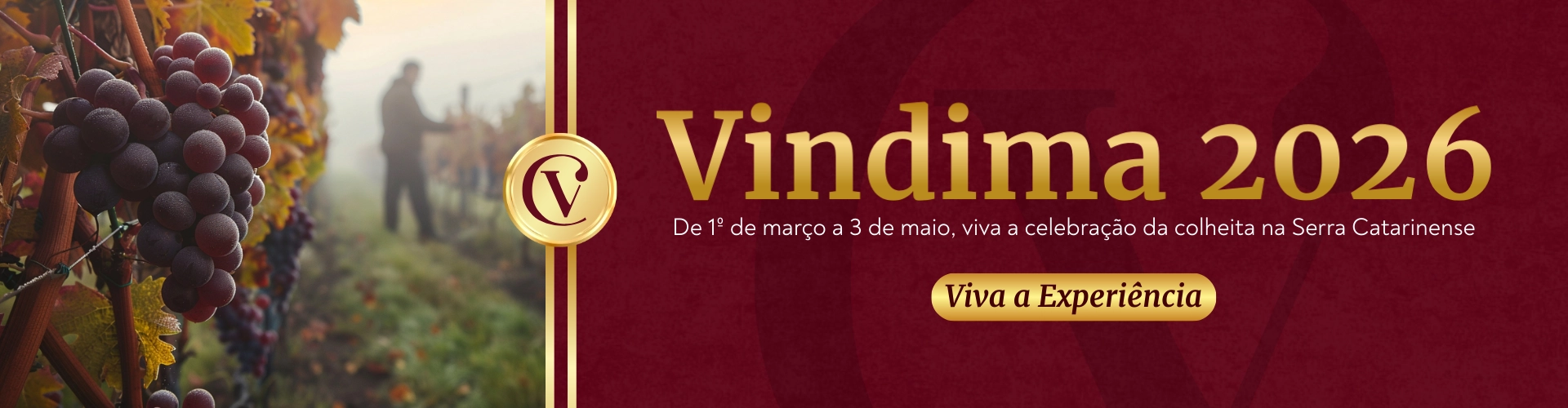 vindima 2026 casa do vinho