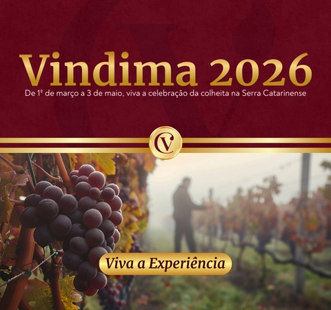 vindima 2026 casa do vinho