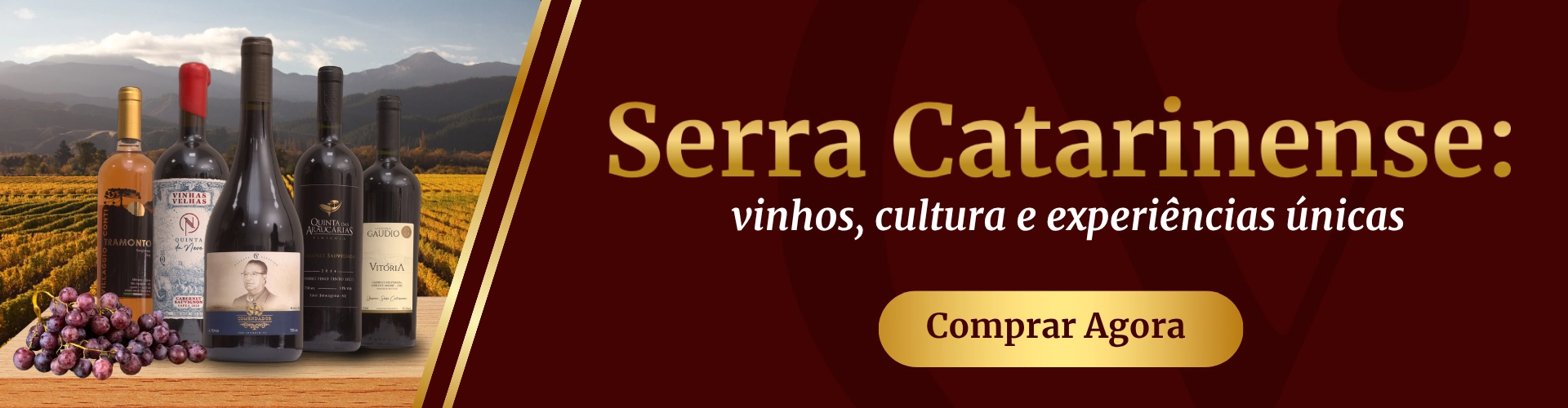 Banner Vinhos da Serra Catarinense