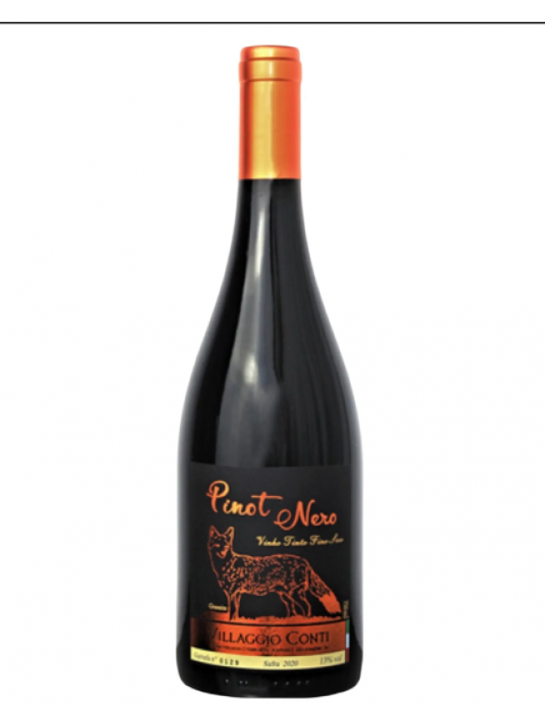Vinho Villaggio Conti - Tinto Seco - Pinot Nero(Pinot Noir) - 750 ml 